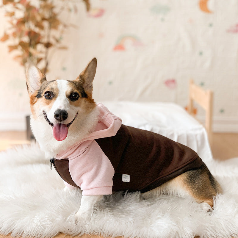 Corgi Dog Clothes Spring and Autumn