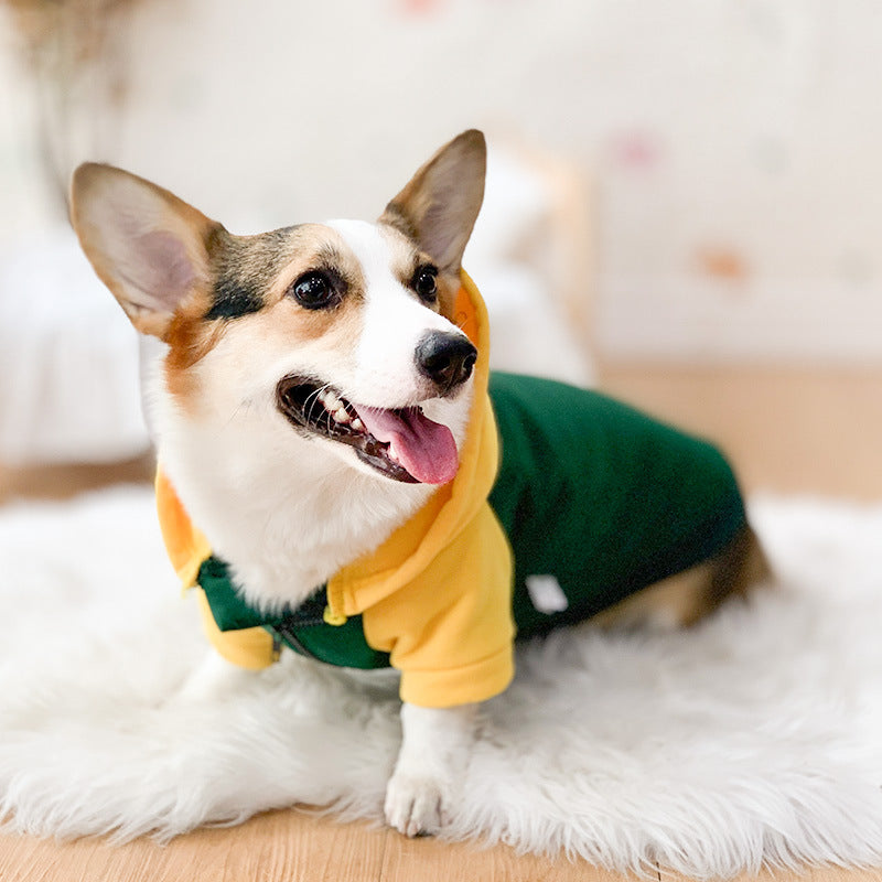 Corgi Dog Clothes Spring and Autumn