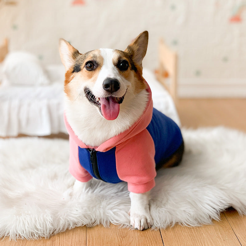 Corgi Dog Clothes Spring and Autumn