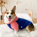 Corgi Dog Clothes Spring and Autumn