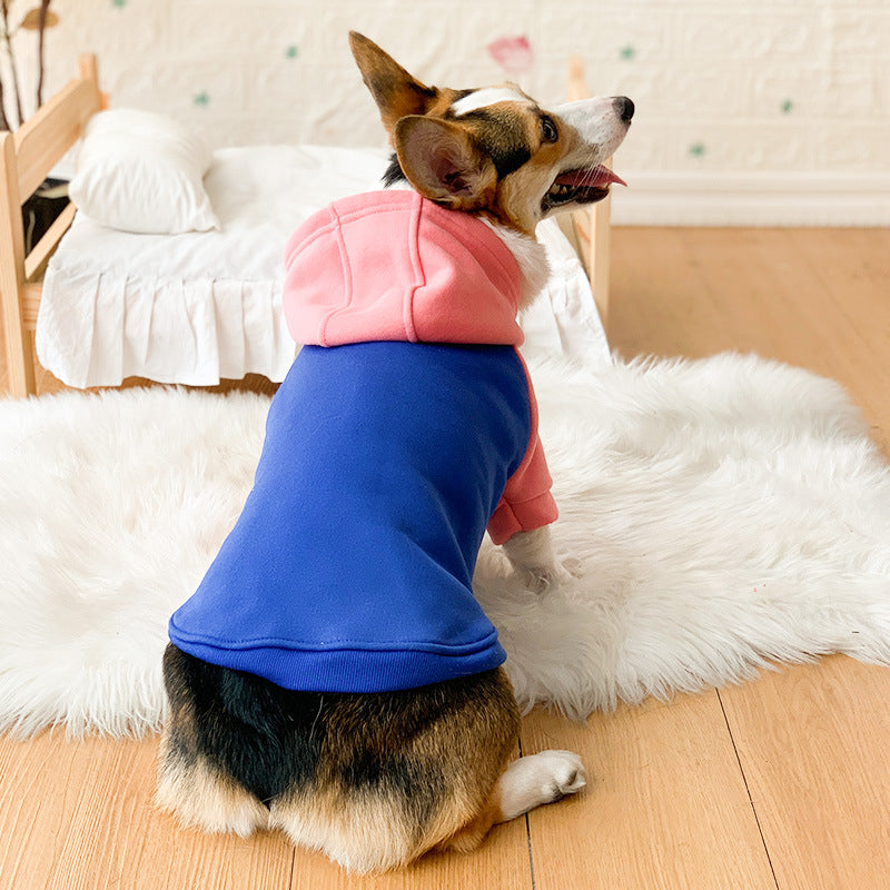 Corgi Dog Clothes Spring and Autumn