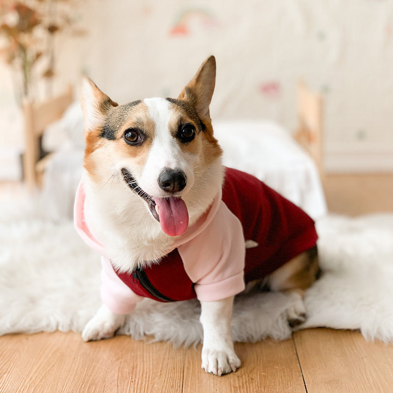 Corgi Dog Clothes Spring and Autumn