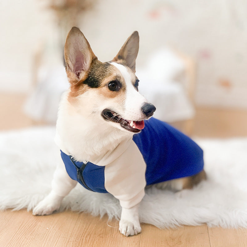 Corgi Dog Clothes Spring and Autumn