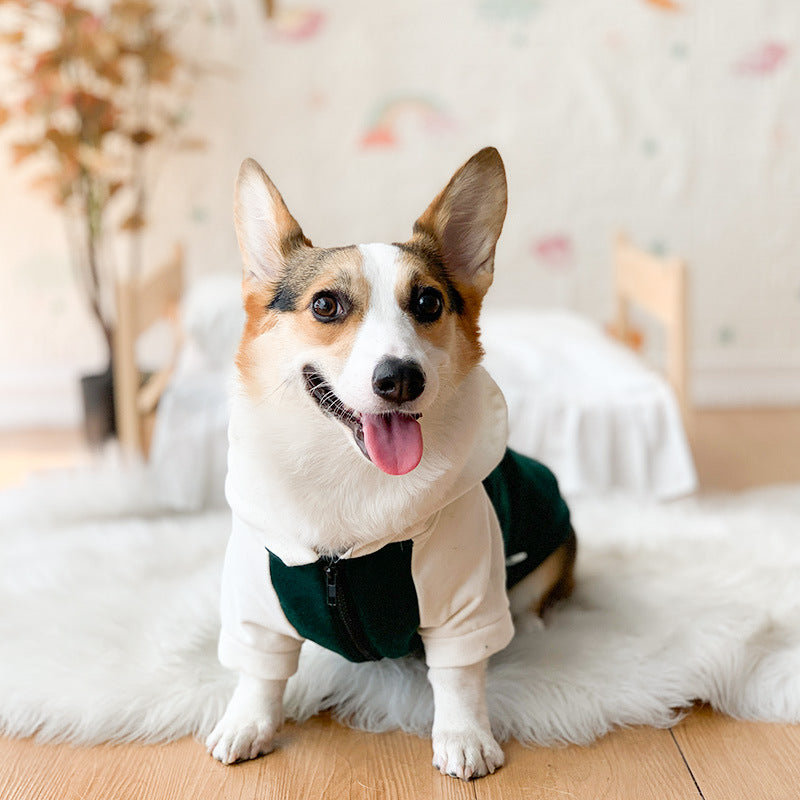 Corgi Dog Clothes Spring and Autumn